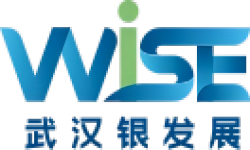 2025中国(武汉)国际银发经济博览会 2025中国(武汉)国际银发经济博览会